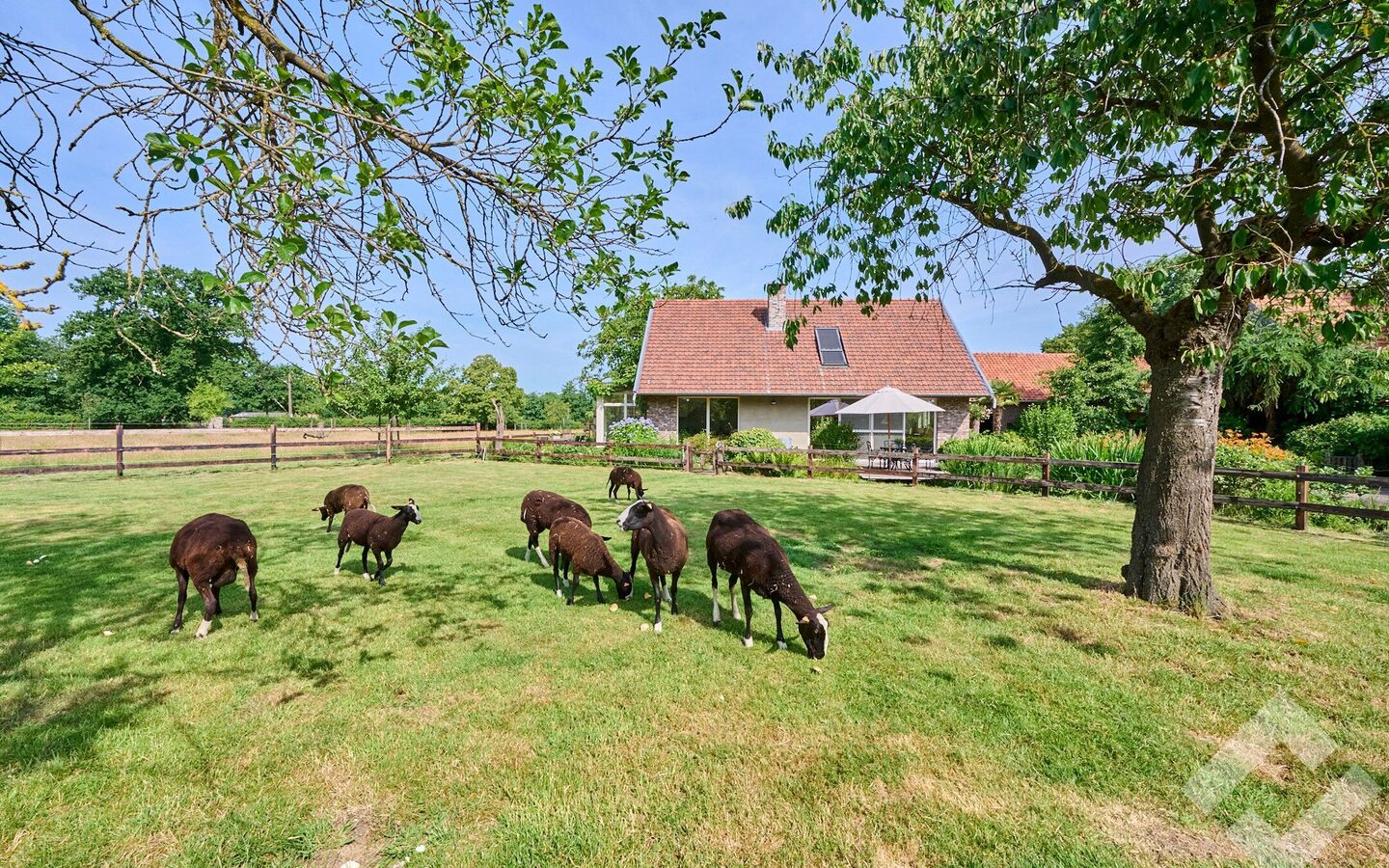 Boerderij te koop in Bocholt
