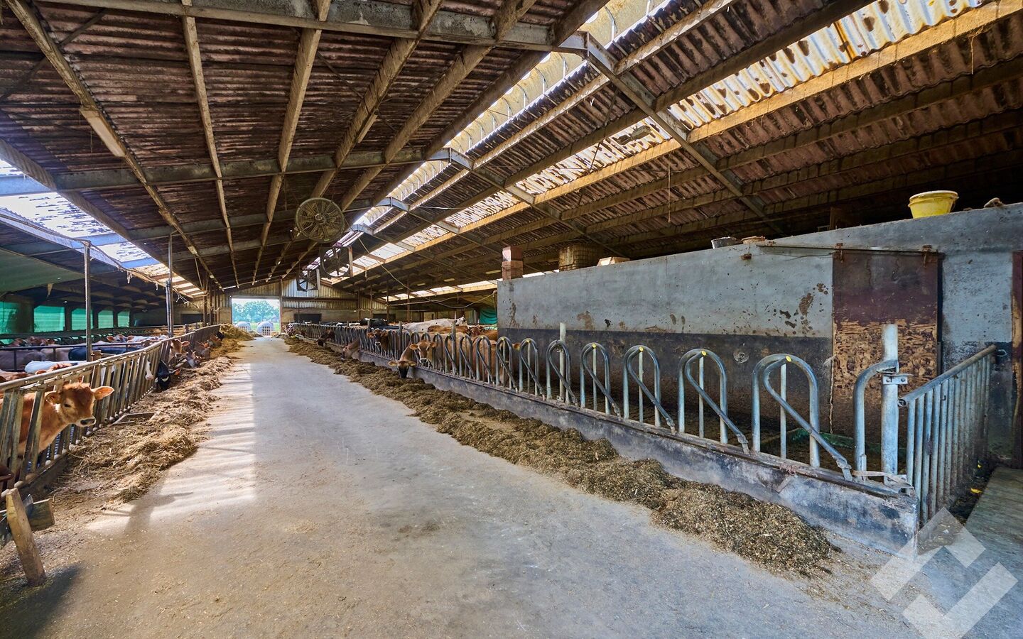 Boerderij te koop in Bocholt